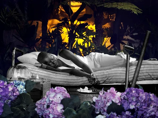 Güney Afrika'nın Direniş Sanatı