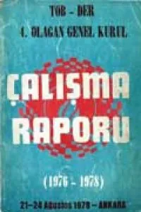 1976-1978 ÇALIŞMA RAPORU