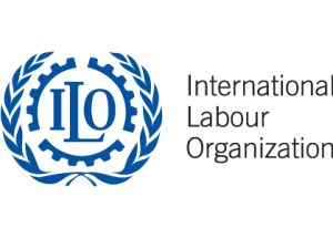 KESK’s views on the Application of the ILO Convention No. 135 in Turkey in the period of 2016-2017