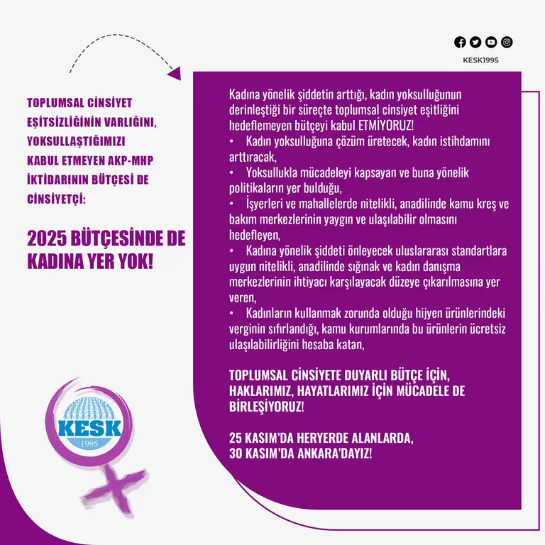 2025 Bütçesinde De Kadına Yer Yok!