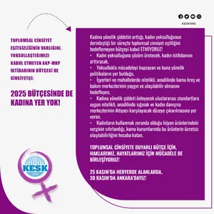 2025 Bütçesinde De Kadına Yer Yok!