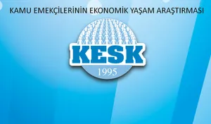 Kamu Emekçilerinin Ekonomik Yaşam Araştırması