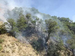 Dersim’de Çıkan Yangınlar Ve Sonrasında Yaşananlar Güvenlikçi Politikalardan Bağımsız Değildir!