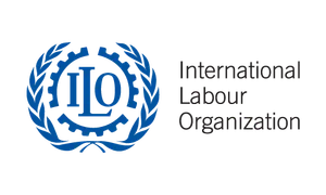 135 sayılı İşçi Temsilcileri ILO Sözleşmesinin  2016-2017 Döneminde Ülkemizdeki Uygulamasına İlişkin Görüşlerimiz