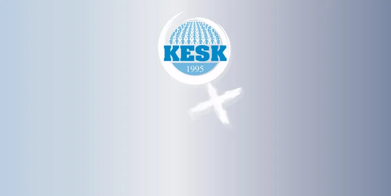 Toplumsal Cinsiyete Duyarlı Bütçe İstiyoruz!