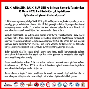 13 Ocak İş Bırakma Eylemimize Sağlık Emek ve Meslek Örgütleri'nden Destek!