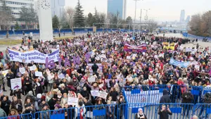 10 OCAK ANKARA KADIN MİTİNGİ-9511.jpeg