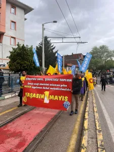 Bursa.webp